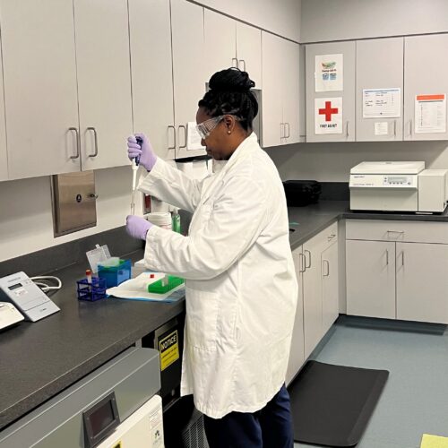 A person in a lab coat and gloves uses a pipette at a laboratory counter with equipment, storage cabinets, and safety signs visible.